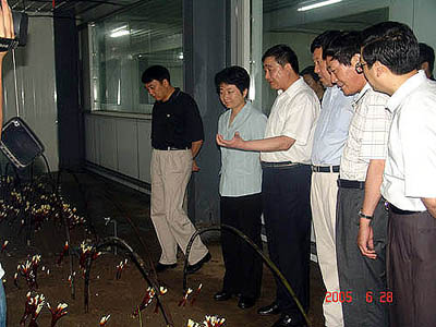 和记娱乐官网