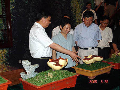 和记娱乐官网