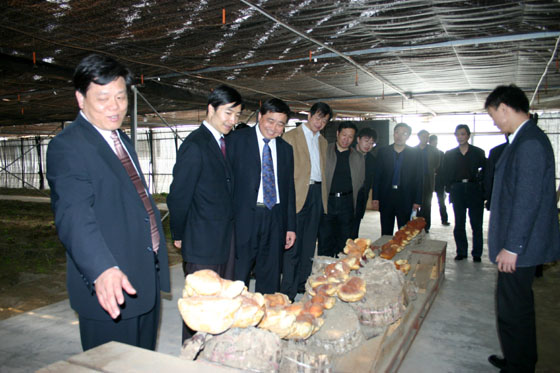 和记娱乐官网
